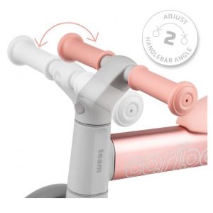 Беговел Cariboo Team (pink)