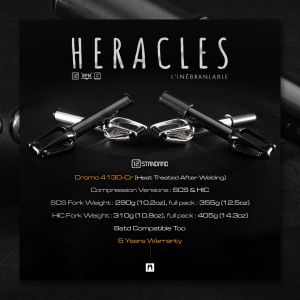 Вилка Ethic Heracles 8STD-12STD SCS-HIC Pro Scooter Fork (Black)
