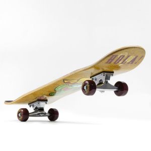 Скейтборд SMJ Sport 3108 (Cactus)