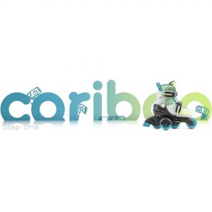 Ролики Cariboo Step One (blue-green)