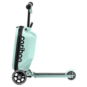 Самокат Cariboo iTravel 2in1 (mint)