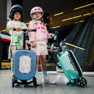 Самокат Cariboo iTravel 2in1 (mint)