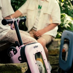 Самокат Cariboo iTravel 2in1 (pink)