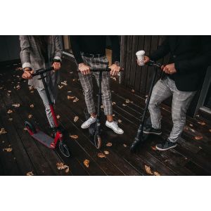Самокат Rideoo 200 City Scooter (White)