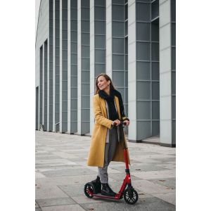 Самокат Rideoo 200 City Scooter (White)