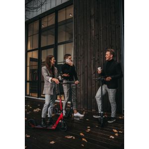 Самокат Rideoo 200 City Scooter (White)
