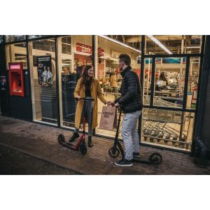 Самокат Rideoo 200 City Scooter (White)
